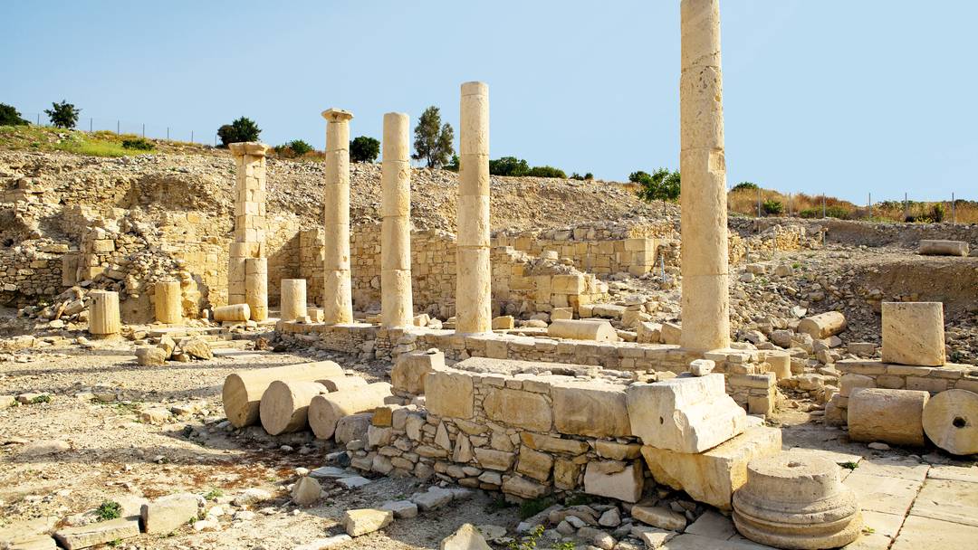 amathus amathus1