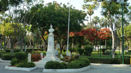 limassol-municipal-gardens limassol-municipal-gardens1