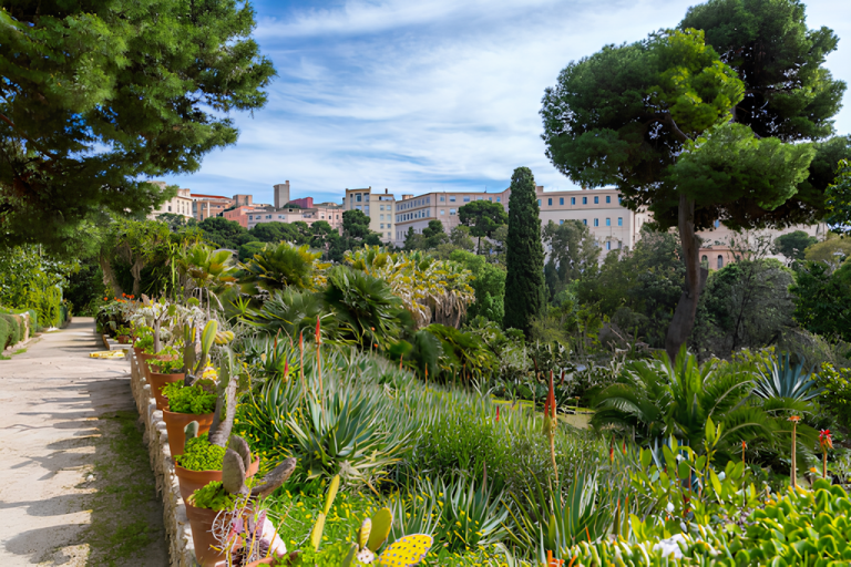 Botanic Garden of Cagliari